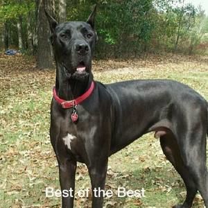 Meet your Posher, Connie